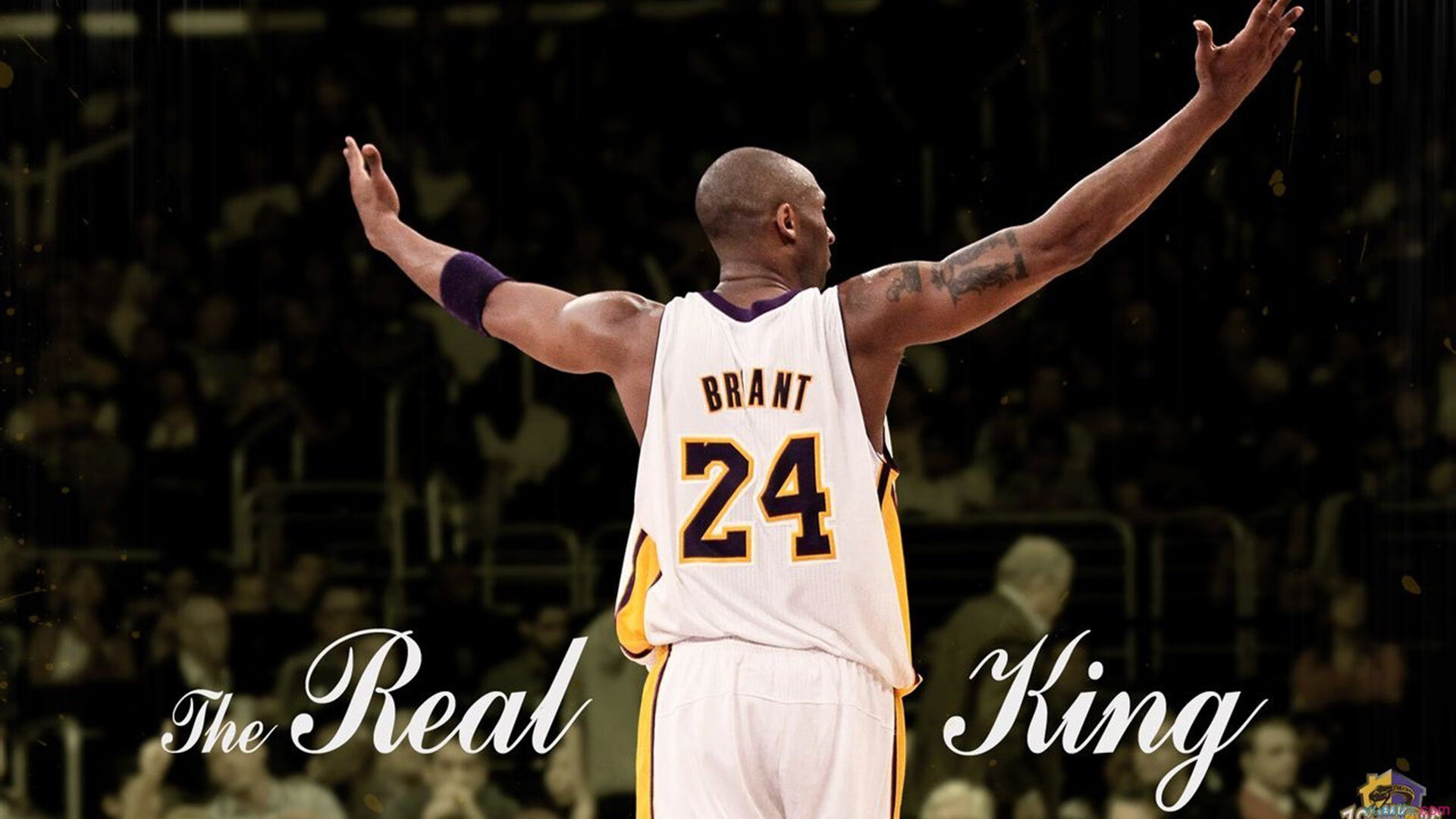 快船全队前往社区学校开展公益教学